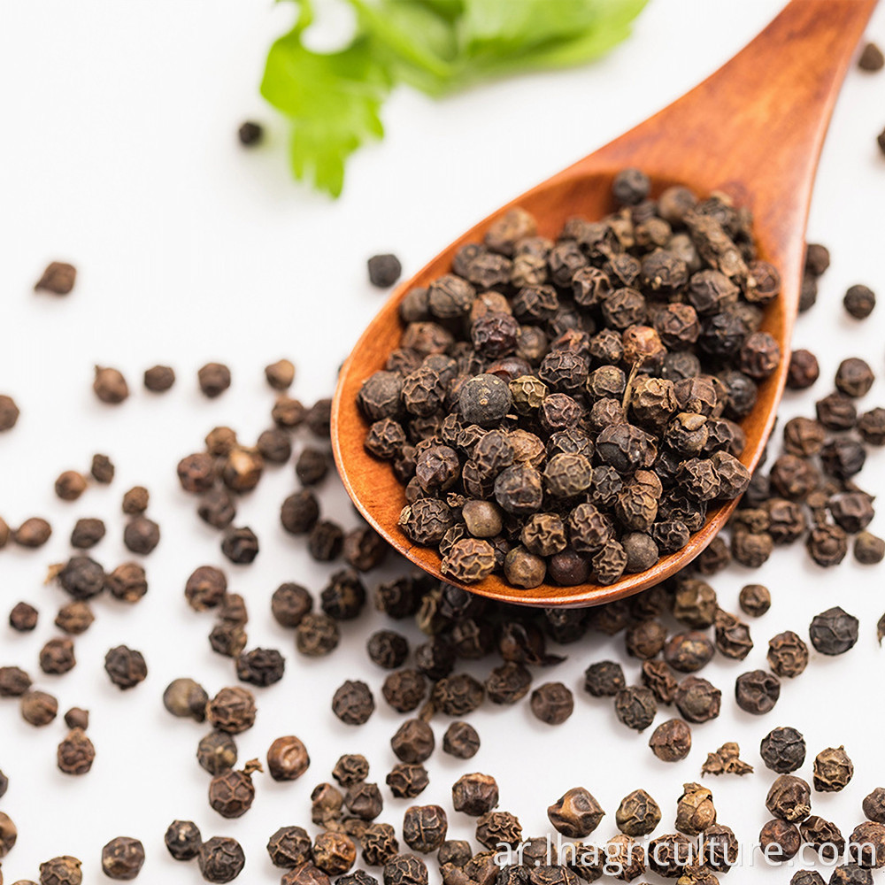Black Pepper Spices
